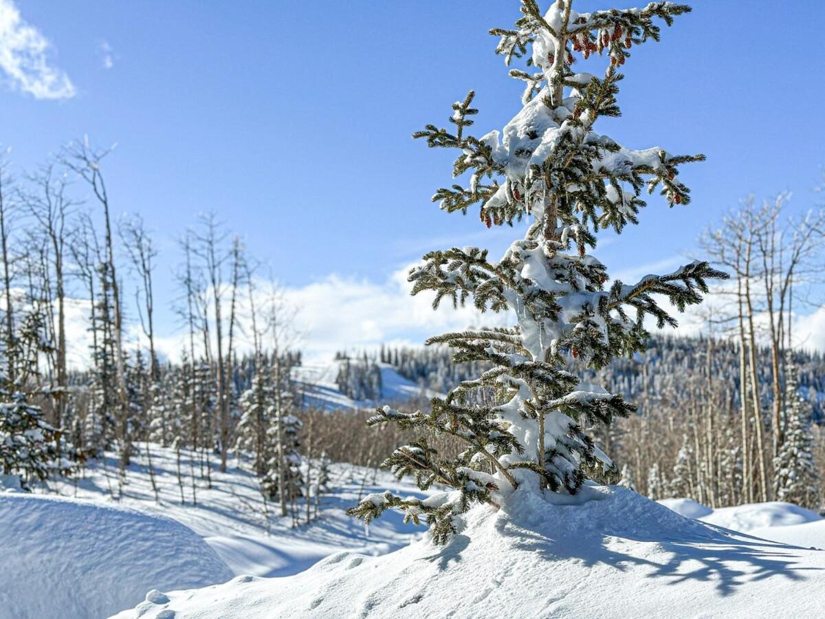 Eagle Roost Retreat By Ski Lifts Brian Head Buitenkant foto